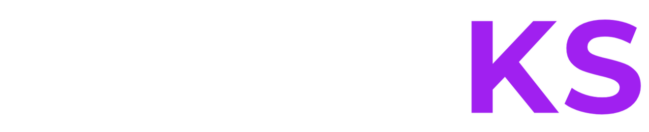 NOCTIKS I AI Growth Agency